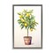 Stupell Industries Citrus Tree Serenade Floating Frame, design by Andrea Haase